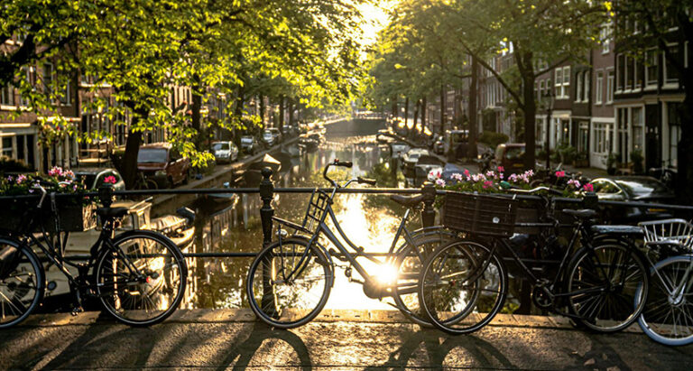 City Escape team building