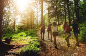 Teambuilding Ardennes with accommodation